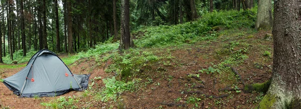 Tent nestled in early morning wilderness campsite. XXL size. — Stock Photo, Image