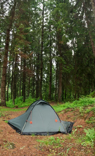 Sabah erken vahşi doğada kamp çadır sokuldu. XXL boyutu. — Stok fotoğraf