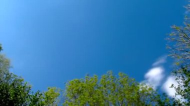 cennet timelapse