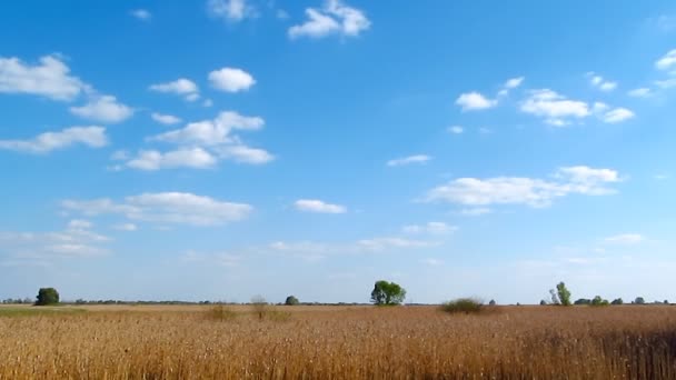 Paysage nuageux Timelapse 