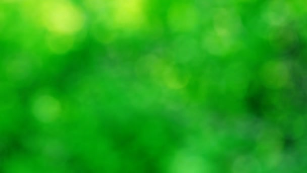 Flou vert 