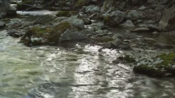 Bellissimo torrente di montagna — Video Stock