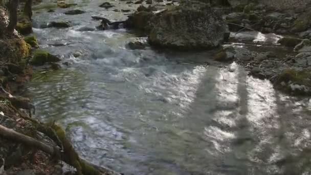 Beautiful mountain stream — Stock Video