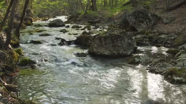 Όμορφο βουνό ρεύμα — Αρχείο Βίντεο