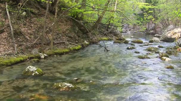 Beautiful mountain stream — Stock Video