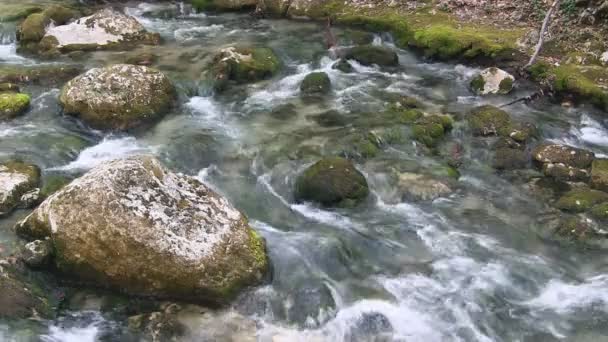 Belo fluxo de montanha — Vídeo de Stock