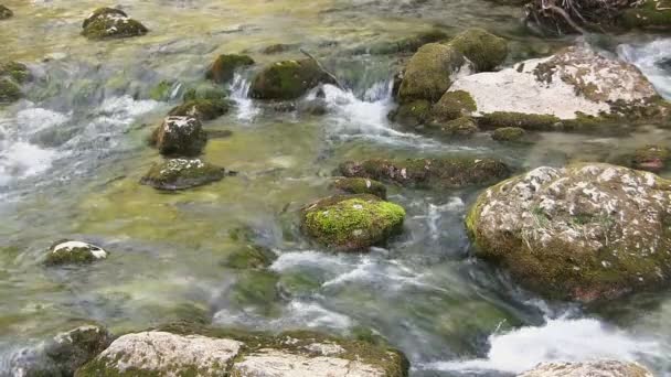 Hermoso arroyo — Vídeo de stock