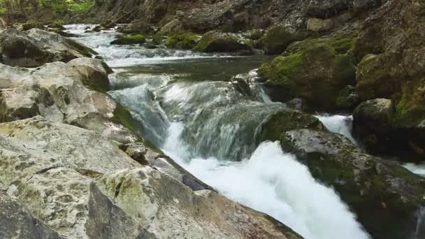 Belo fluxo de montanha — Vídeo de Stock