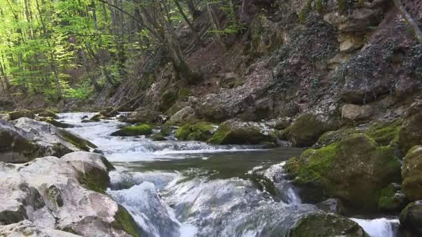 Красивий гірський потік — стокове відео