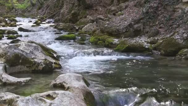 Belo fluxo de montanha — Vídeo de Stock