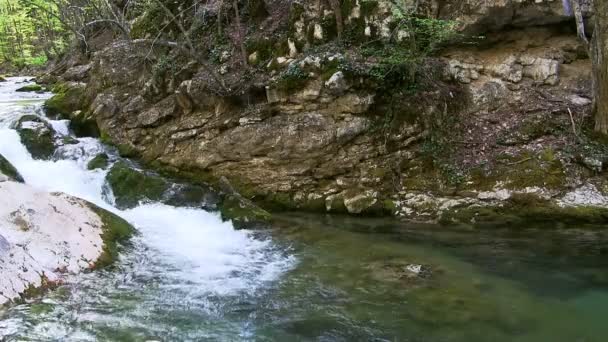 Bellissimo torrente di montagna — Video Stock