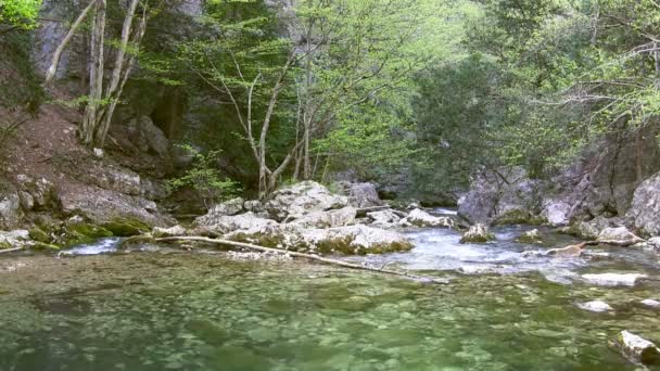 Beautiful mountain stream — Stock Video