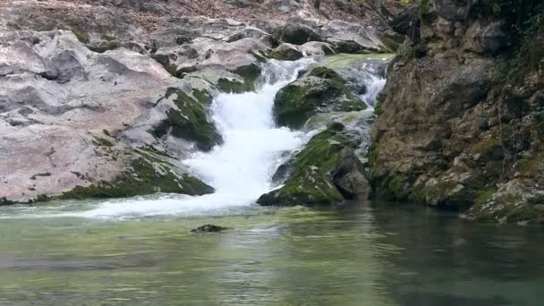 Hermoso arroyo — Vídeos de Stock