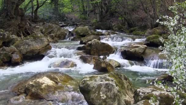 Hermoso arroyo — Vídeos de Stock