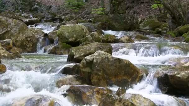 Beau ruisseau de montagne 