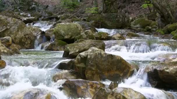 Hermoso arroyo — Vídeo de stock