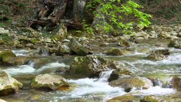 Красивий гірський потік — стокове відео