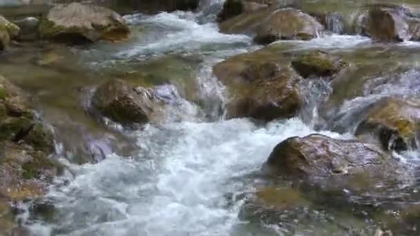 Bellissimo torrente di montagna — Video Stock