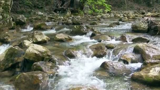 美丽的山流 — 图库视频影像