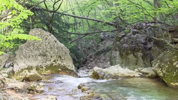 Όμορφο βουνό ρεύμα — Αρχείο Βίντεο