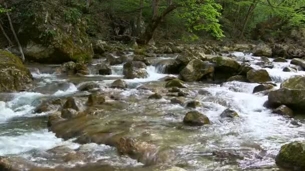 Schöner Gebirgsbach — Stockvideo