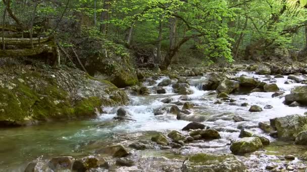 Piękny górski potok — Wideo stockowe