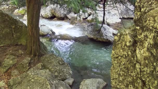 Hermoso arroyo — Vídeo de stock