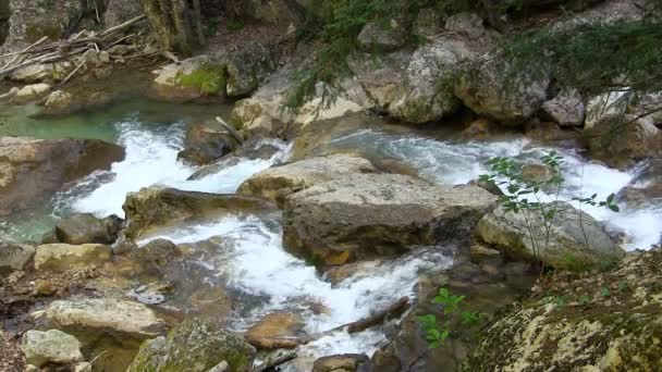 Hermoso arroyo — Vídeo de stock