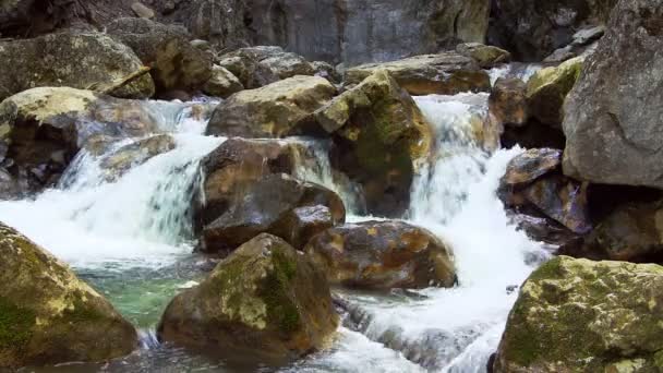 Beautiful mountain stream — Stock Video