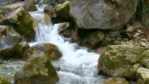 Hermoso arroyo — Vídeo de stock