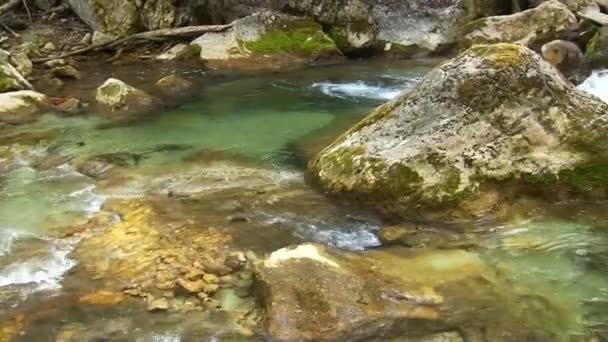 Beautiful mountain stream — Stock Video