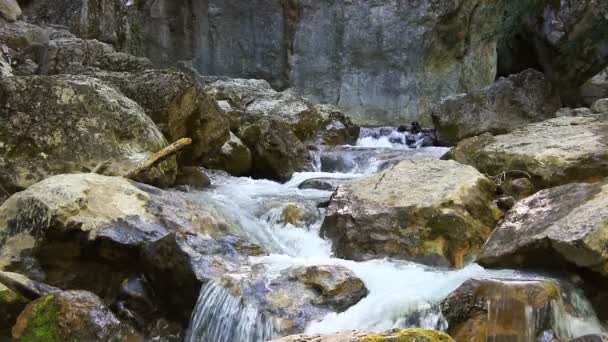 Красивый горный поток — стоковое видео