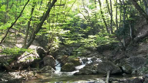 Όμορφο βουνό ρεύμα — Αρχείο Βίντεο