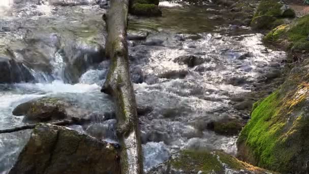 Beau ruisseau de montagne 
