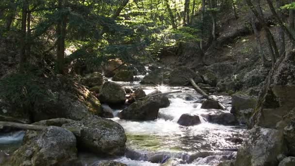 Hermoso arroyo — Vídeos de Stock