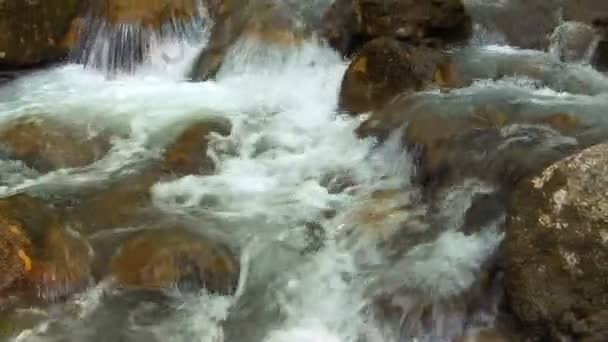 美丽的山流 — 图库视频影像