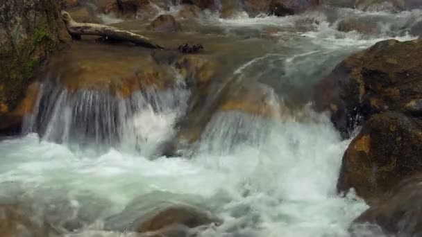 Beau ruisseau de montagne — Video
