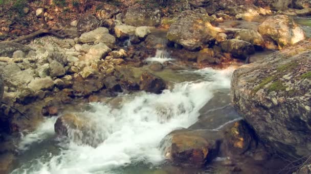 Beautiful mountain stream — Stock Video