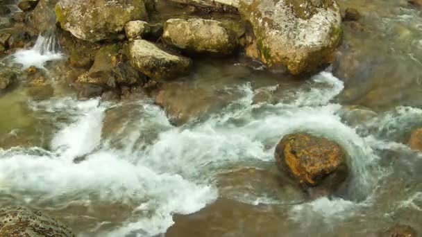美しい渓流 — ストック動画