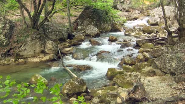 Όμορφο βουνό ρεύμα — Αρχείο Βίντεο