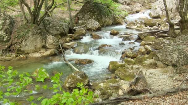 Hermoso arroyo — Vídeos de Stock