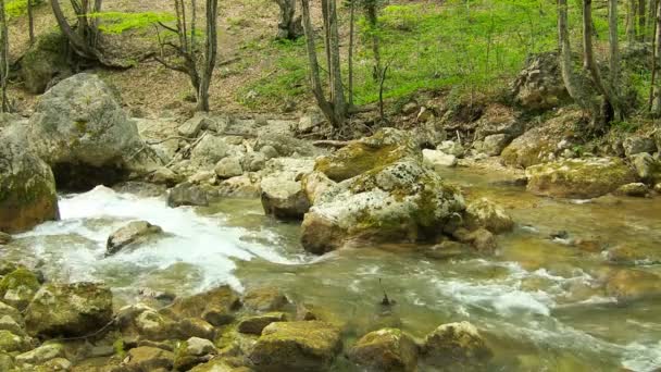 Indah aliran gunung — Stok Video