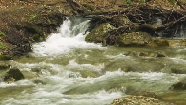 Belo fluxo de montanha — Vídeo de Stock