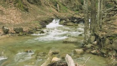 güzel dağ dere