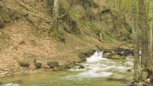 Piękny górski potok — Wideo stockowe