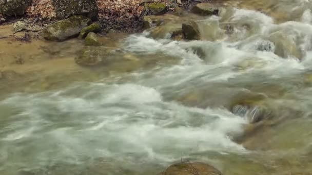 Beautiful mountain stream — Stock Video