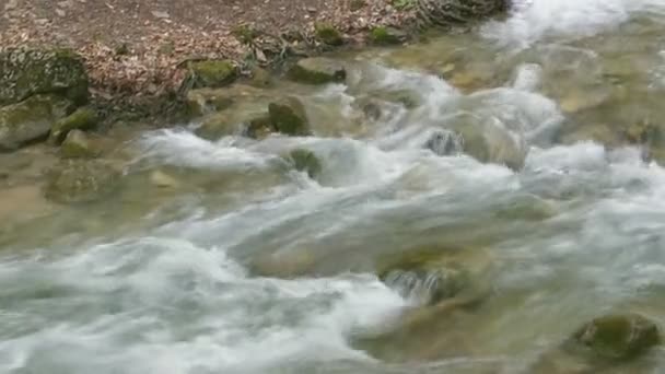 Beautiful mountain stream — Stock Video