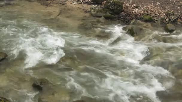 Beautiful mountain stream — Stock Video