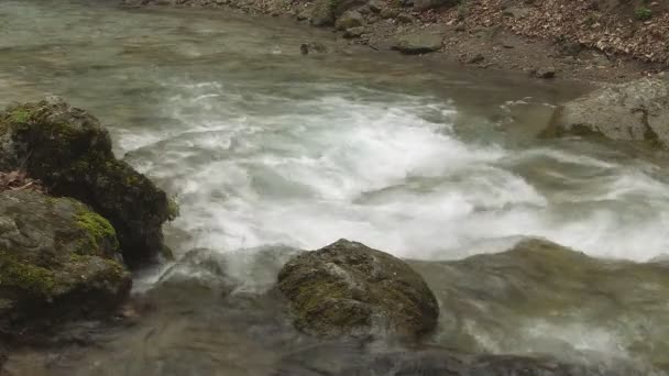 Beautiful mountain stream — Stock Video