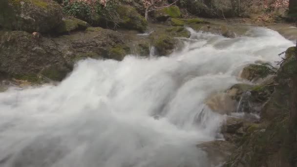 Belo fluxo de montanha — Vídeo de Stock